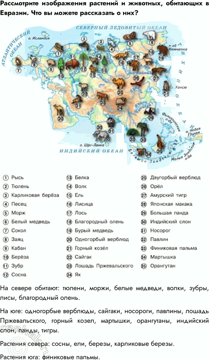 Решение задачи: 