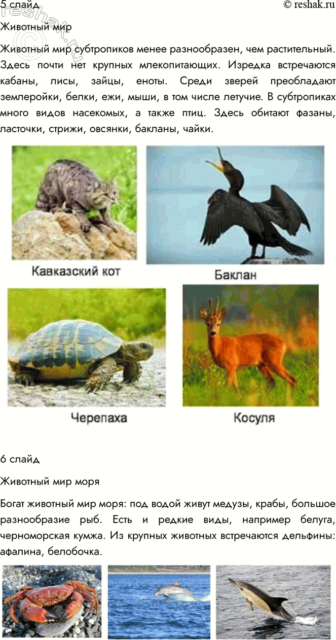 Решение задачи: 