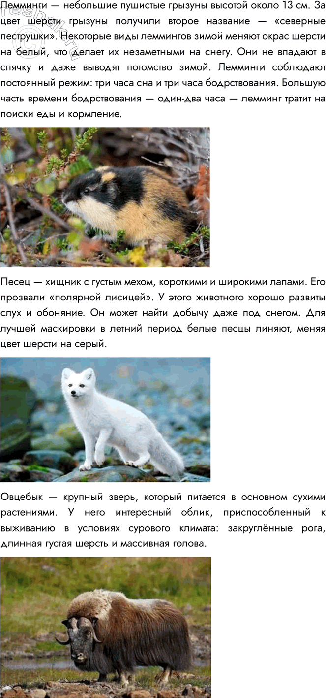 Решение задачи: 