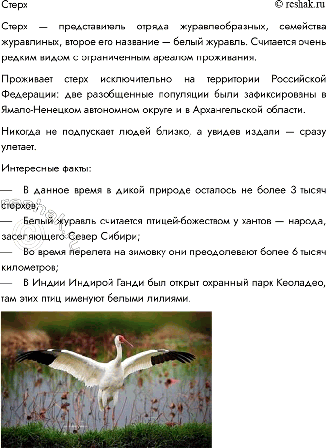 Решение задачи: 