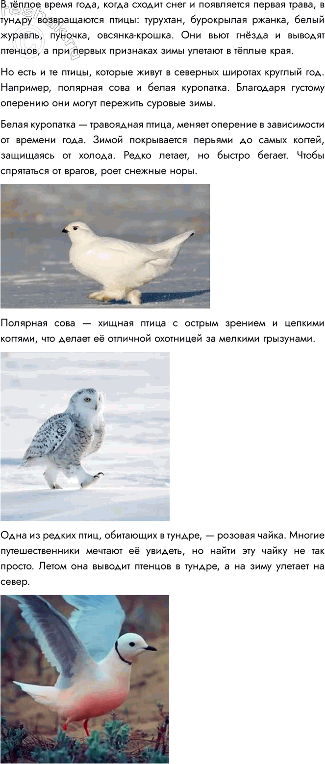 Решение задачи: 