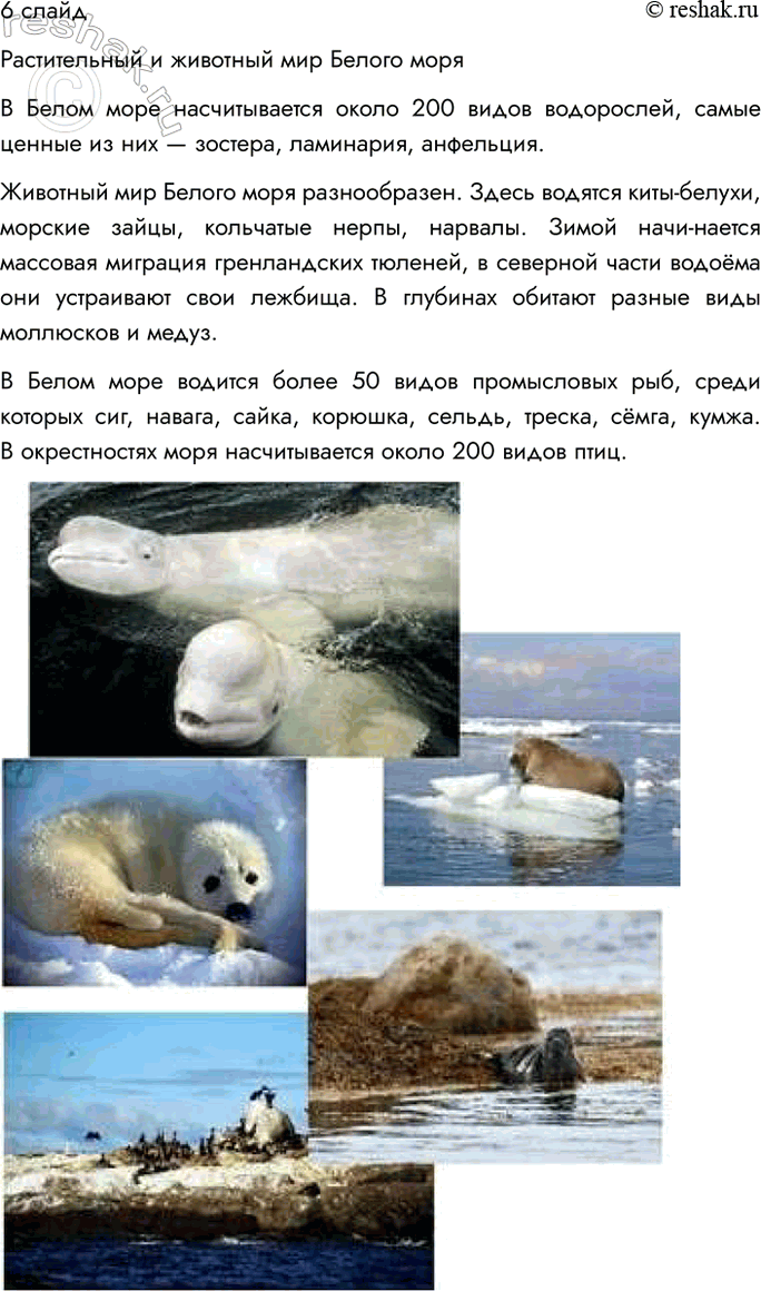 Решение задачи: 