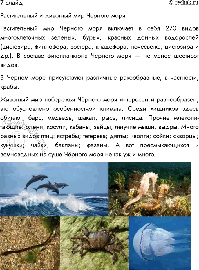 Решение задачи: 