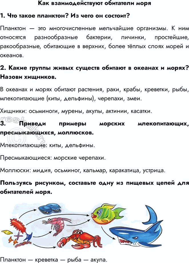 Решение задачи: Как взаимодействуют обитатели моря 1. Что такое планктон? Из чего он состоит? Планктон — это многочисленные мельчайшие организмы. К ним относятся разнообразные бактерии, личинки, простейшие, ракообразные, обитающие в верхних, более тёплых слоях морей и океанов.