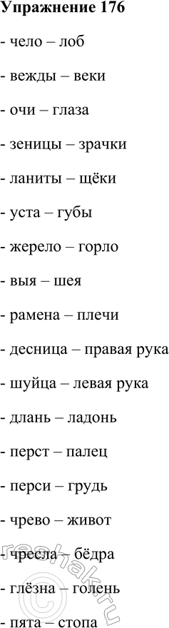 Решение задачи: 176. Запишите слова парами: архаизм и его современный синоним. Архаизмы: чело, вежды, очи, зеницы, ланиты, уста, жерело, выя, рамена, десница, шуйца, длань, перст, перси, чрево, чресла, глёзна, пята.