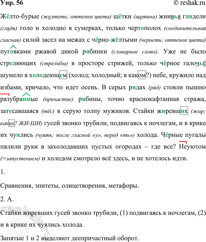 Решение задачи: 56 Перепишите фрагмент из романа И. С. Шмелёва «Волчий перекат», вставляя пропущенные буквы и знаки препинания. (Ж..лто)бурые щ..тки жнив(?)я гл..дели голо и холодно в сумерках только черт..полох силой засел на межах с (ч..рно)-ЖоЛтыми пуговками ржавой дикой р..бинки.