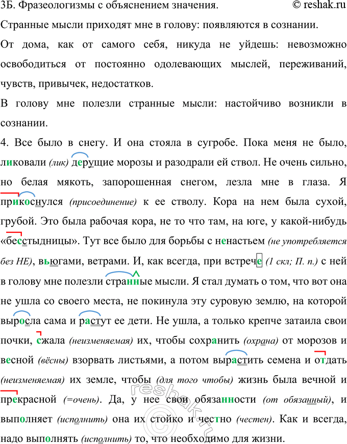 Решение задачи: 188 Прочитайте текст. Определите его тему и идею. Выполните задания, размещённые на с. 92. Каждое утро, когда я просыпаюсь и подымаю сделанную из деревянных полосок жёлтую штору, всякий раз вижу её.