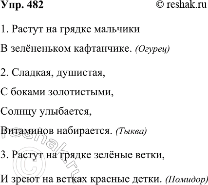 Решение задачи: 482. Составьте загадки, отгадками которых будут слова огурец, тыква, помидор. 1. Растут на грядке мальчики В зелёненьком кафтанчике. (Огурец) 2. Сладкая, душистая, С боками золотистыми, Солнцу улыбается, Витаминов набирается.