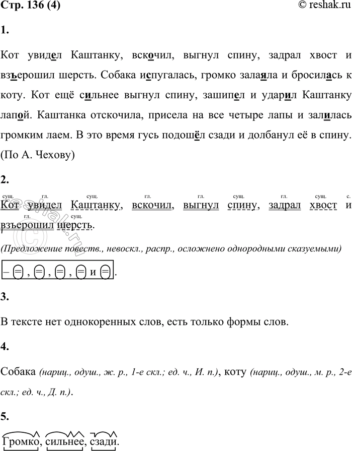 Решение задачи: 4 1. Спиши текст, вставляя пропущенные буквы и знаки препинания. Обозначь орфограммы. Кот увид...л Каштанку век...чип выгнул спину задрал хвост и вз...ерошил шерсть.
