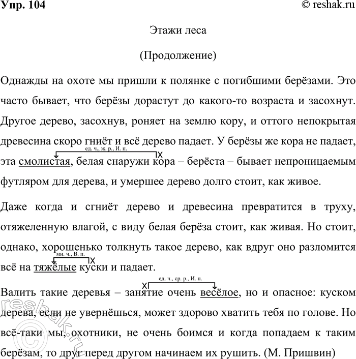 Решение задачи: 104. Спишите текст. Этажи леса (Продолжение) Однажды на охоте мы пришли к полянке с погибшими берёзами. Это часто бывает, что берёзы дорастут до какого-то возраста и засохнут.