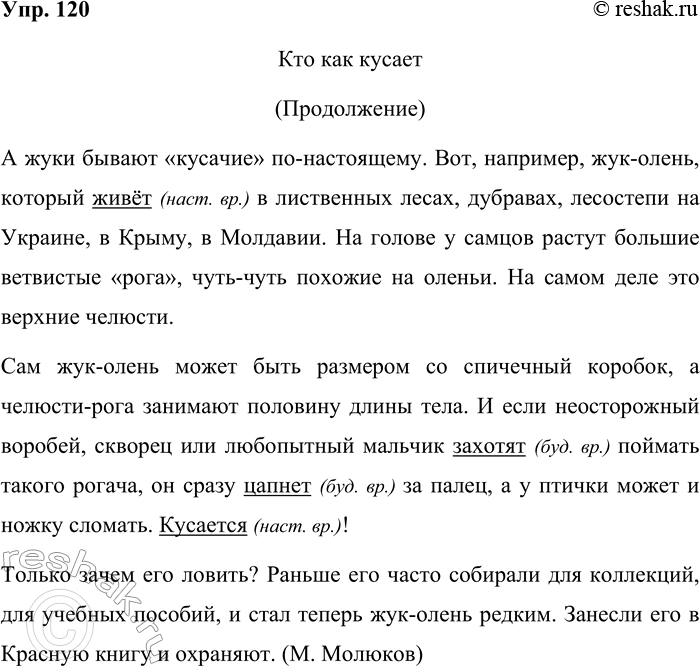 Решение задачи: 120. Спишите. Кто как кусает (Продолжение) А жуки бывают «кусачие» по-настоящему. Вот, например, жук-олень, который живёт в лиственных лесах, дубравах, лесостепи на Украине, в Крыму, в Молдавии.