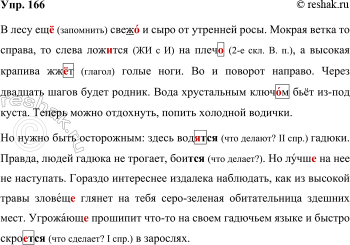 Решение задачи: 166. Выполняйте так же, как упражнение 165. В лесу ещ_ свеж_ и сыро от утренней росы. Мокрая ветка то справа, то слева ложиться на плеч_, а высокая крапива жж_т голые ноги.