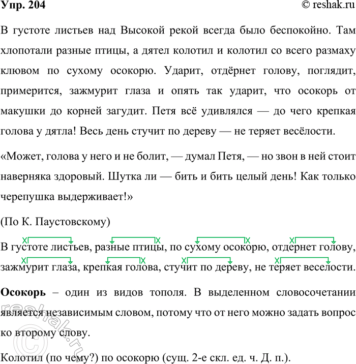 Решение задачи: 204. Запишите текст, вставляя пропущенные знаки препинания. В густоте листьев над Высокой рекой всегда было беспокойно. Там хлопотали разные птицы а дятел колотил и колотил со всего размаху клювом но сухому осокорю.