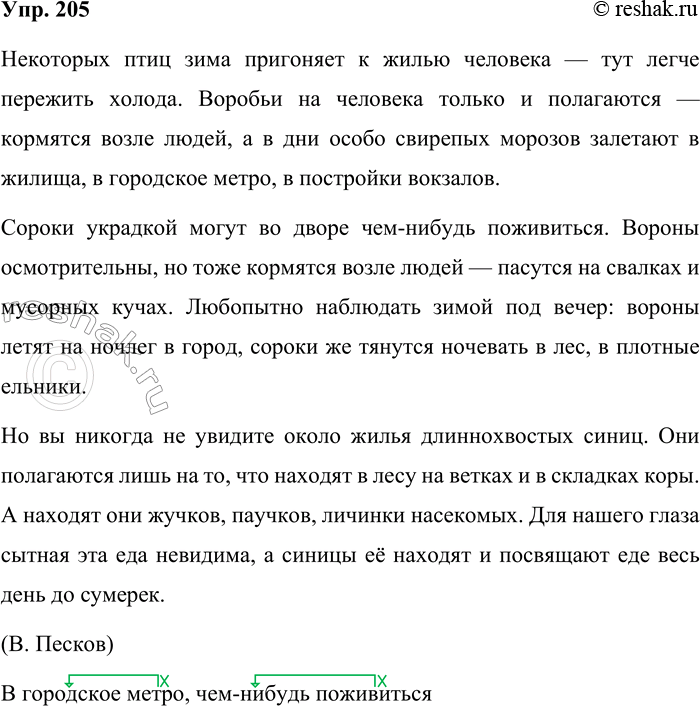 Решение задачи: 205. Спишите, вставляя пропущенные знаки препинания. Некоторых птиц зима пригоняет к жилью человека — тут легче пережить холода. Воробьи на человека только и полагаются — кормятся возле людей а в дни особо свирепых морозов залетают в жилища в городское метро в постройки вокзалов.