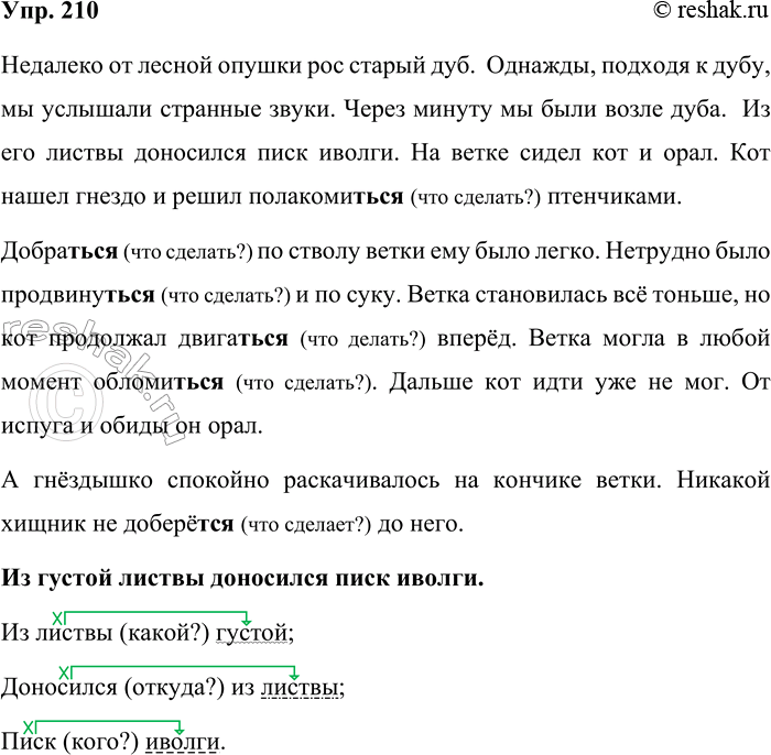 Решение задачи: 210. Прочитайте текст. Правда, когда его печатали, перепутали местами высказывания. Так что вам придётся вернуть их на место. Через минуту мы были возле дуба.