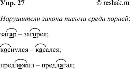 Решение задачи: 