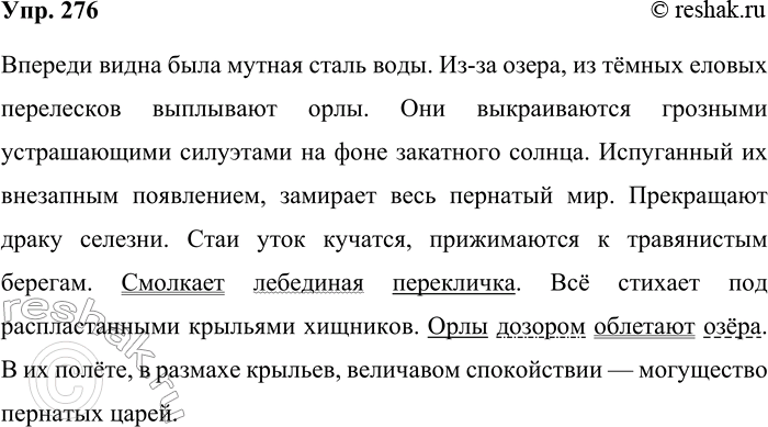 Решение задачи: 276. Спишите. Впереди видна была мутная сталь воды. Из-за озера, из тёмных еловых перелесков выплывают орлы. Они выкраиваются грозными устрашающими силуэтами на фоне закатного солнца.