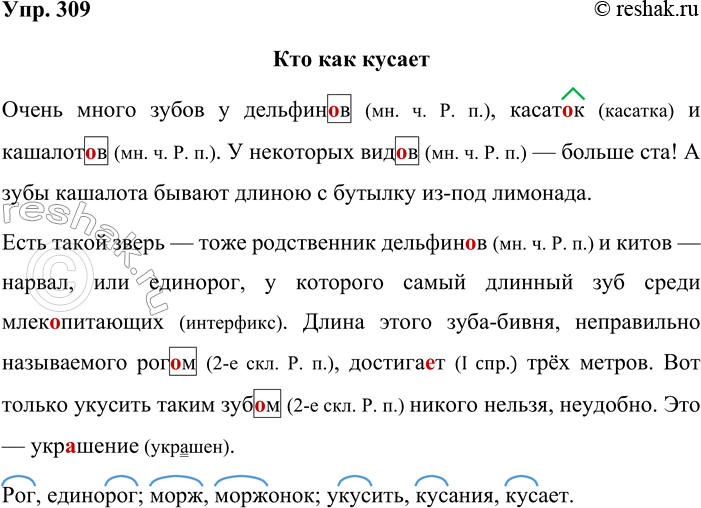 Решение задачи: 309. Запишите два первых абзаца текста, проверяя орфограммы и вставляя пропущенные запятые. Кто как кусает (Продолжение) Очень много зубов у дельфин_в касат_к и кашалот_в.