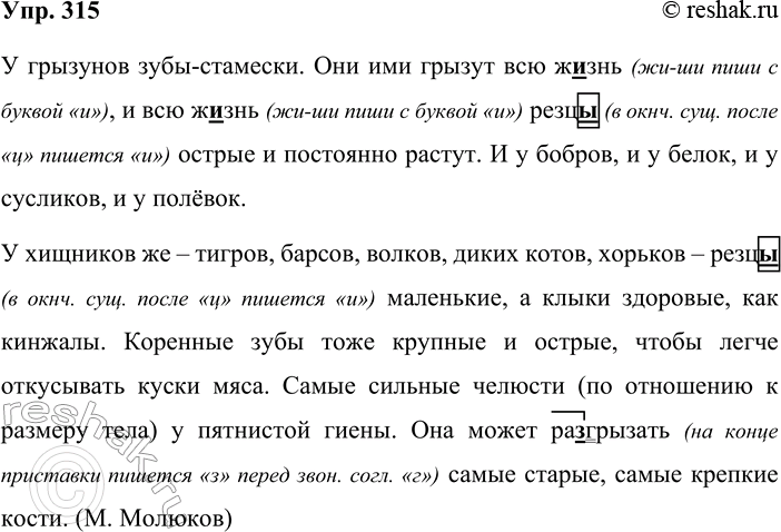 Решение задачи: 315. Запишите, проверяя орфограммы и вставляя пропущенные запятые. Кто как кусает (Окончание) У грызунов зубы-стамески. Они ими грызут всю ж_знь, и всю ж_знь резтт,(и,ьт) острые и постоянно растут.
