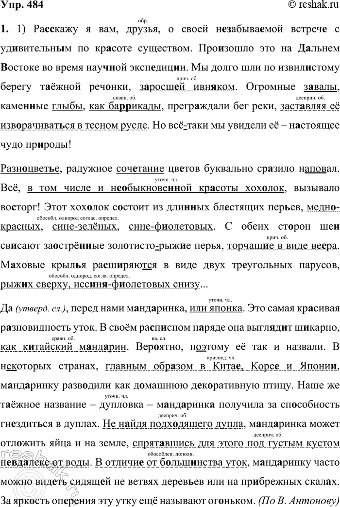 Решение задачи: 484. 1. Спишите, вставляя пропущенные буквы и раскрывая скобки. Обозначьте все синтаксические конструкции, осложняющие простое предложение. Объясните постановку знаков препинания в этих предложениях.